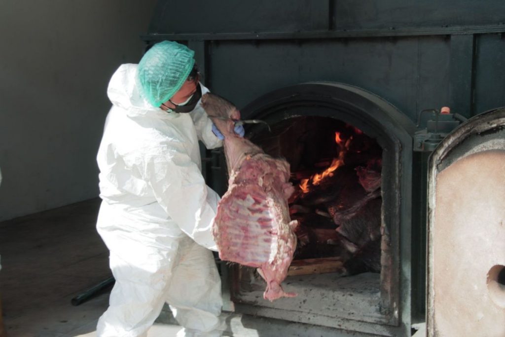 Утилизация трупов животных (сжигание) в г. Сергиев Посад Московской области