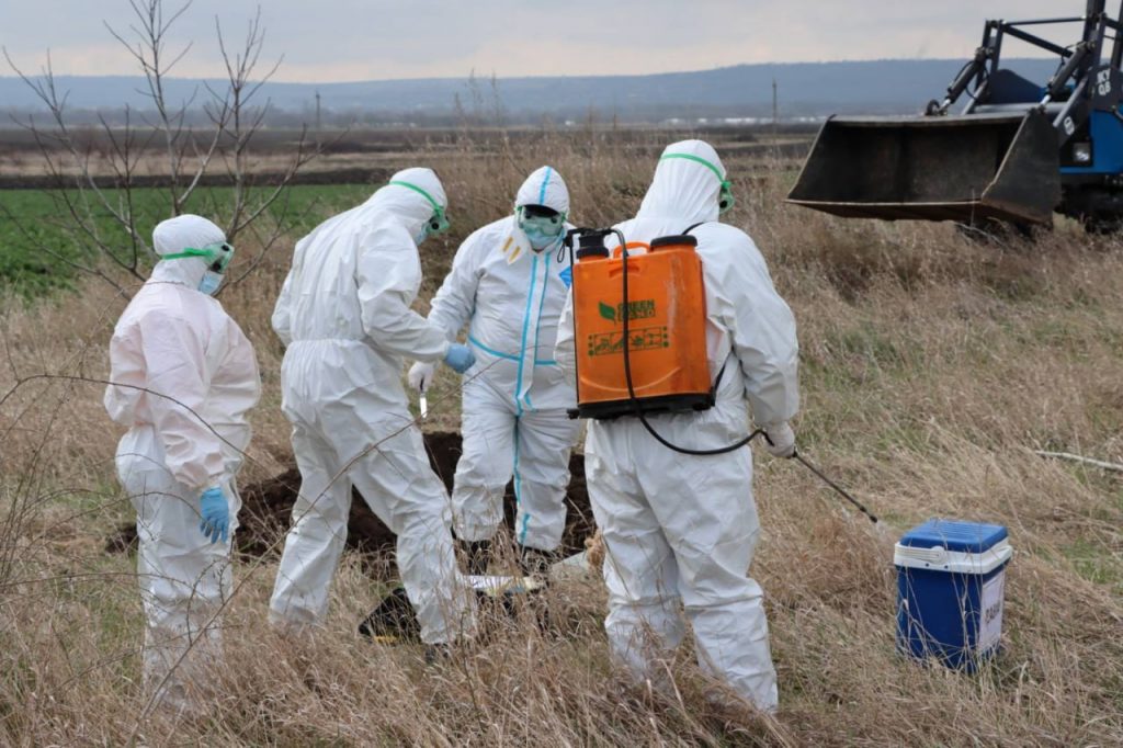 Вывести труп собаки, кошки в г. Сергиев Посад Московской области