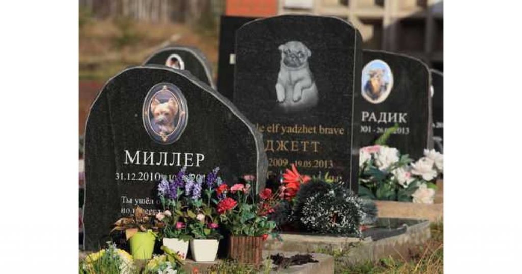 Похоронить животное на кладбище в г. Сергиев Посад Московской области